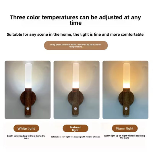 LED Night Light USB Charging Intelligent Human Induction For Bedside Cabinet Home Wardrobe Lighting Motion Sensor Light Led Lamp